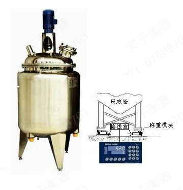 0.5噸反應釜模塊